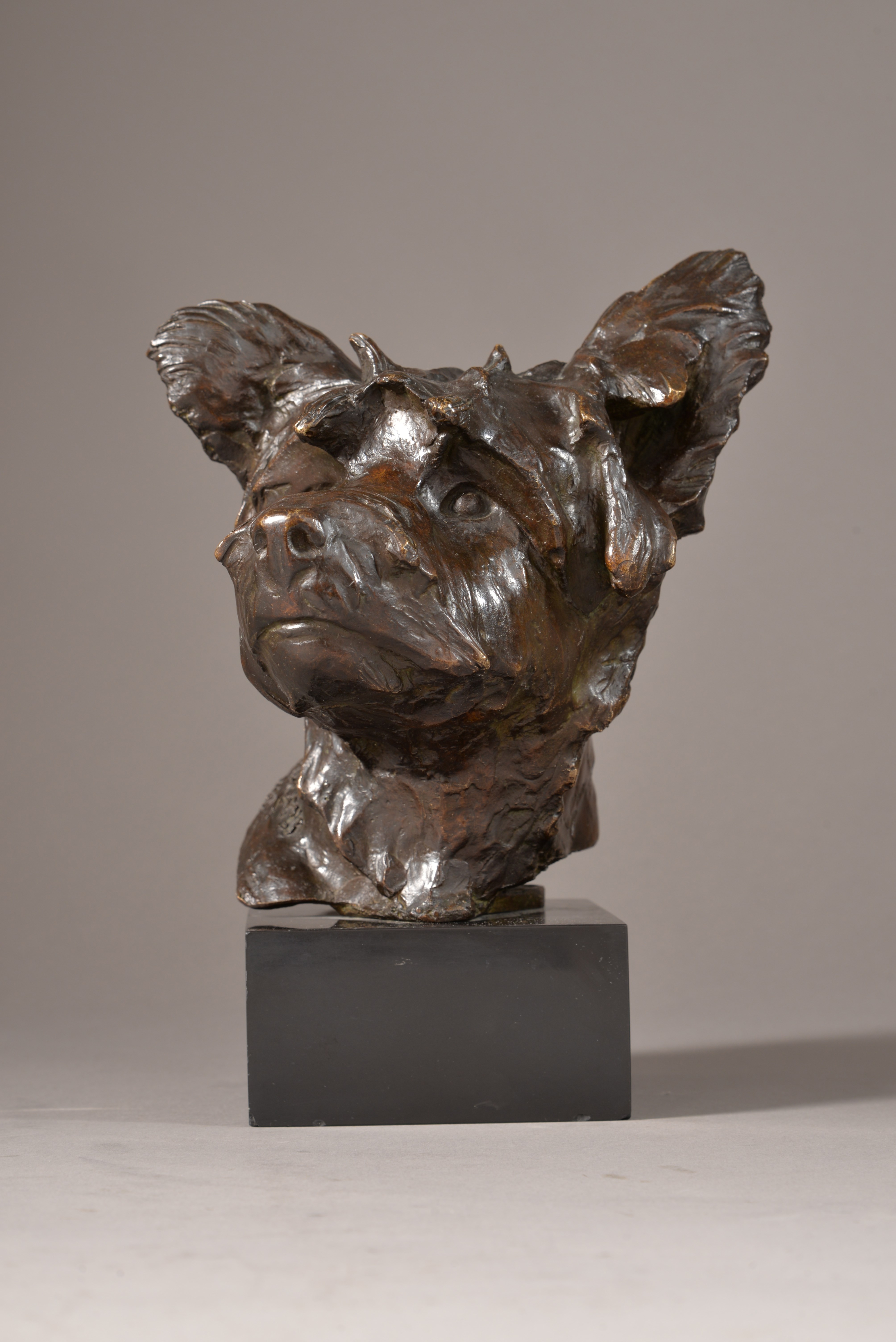 TÊTE DE SKYE-TERRIER (1928-1930)
or "Tête de chien"

